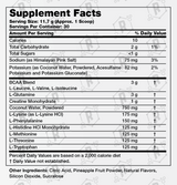 Recover - EAAs BCAAs Creatine Glutamine - Rehab Supplements Lab®